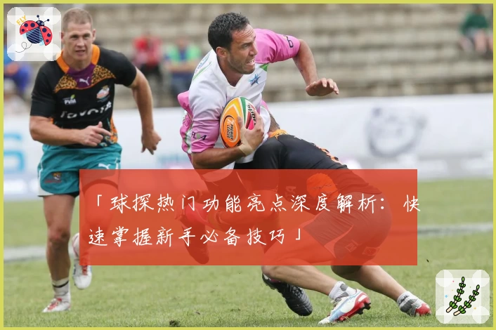 「球探热门功能亮点深度解析：快速掌握新手必备技巧」