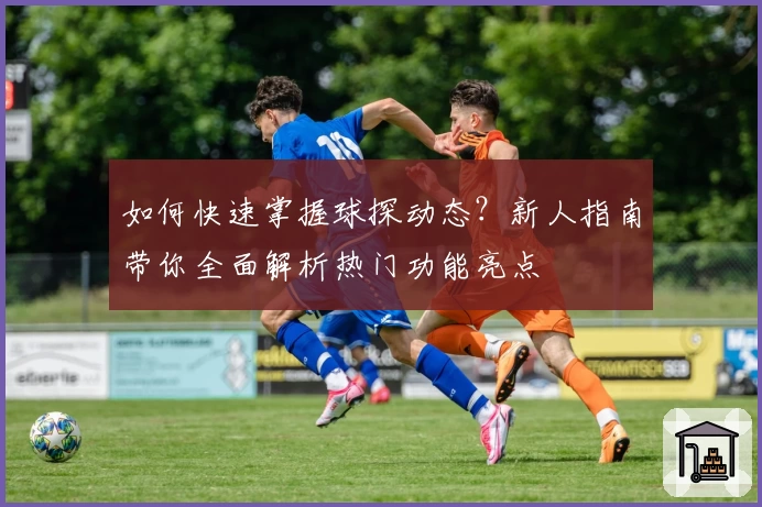 如何快速掌握球探动态？新人指南带你全面解析热门功能亮点