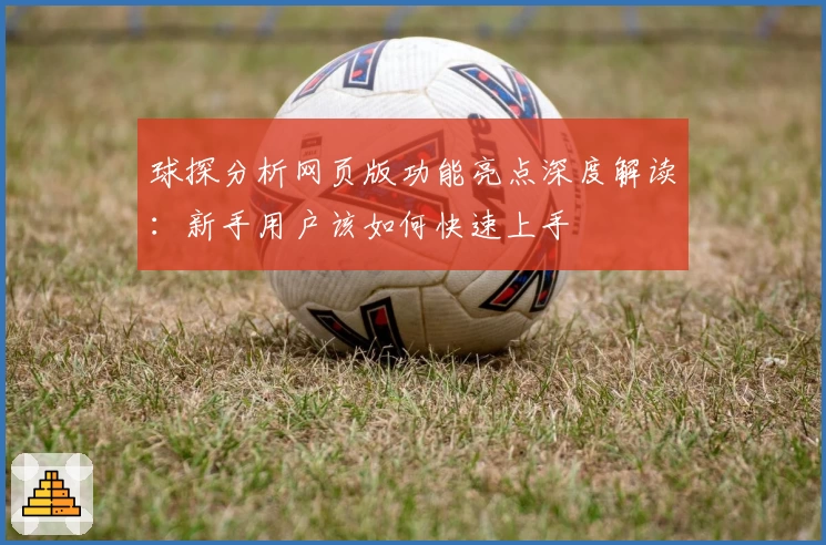 球探分析网页版功能亮点深度解读：新手用户该如何快速上手