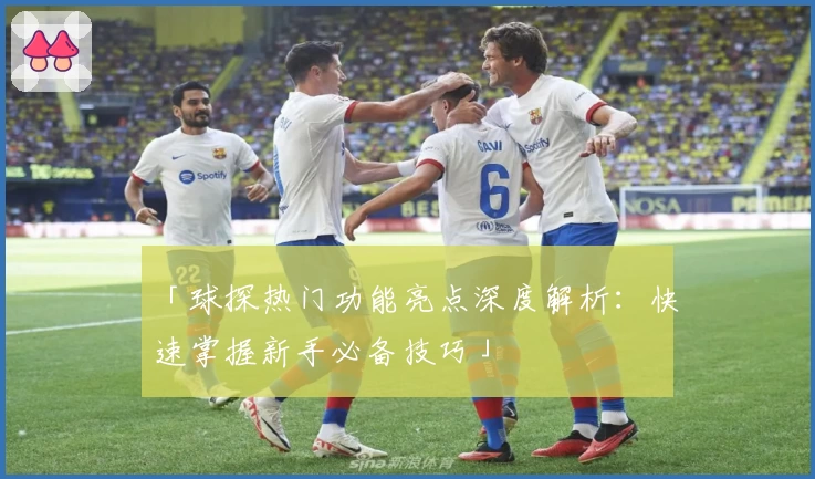 「球探热门功能亮点深度解析：快速掌握新手必备技巧」